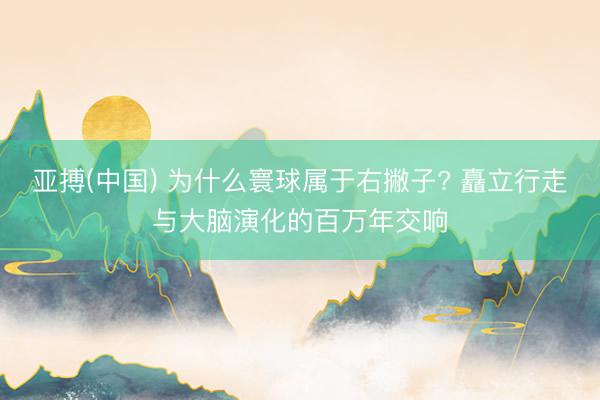 亚搏(中国) 为什么寰球属于右撇子? 矗立行走与大脑演化的百万年交响