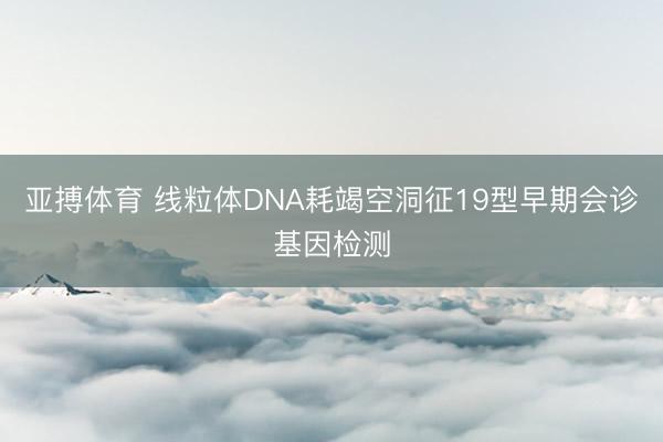 亚搏体育 线粒体DNA耗竭空洞征19型早期会诊基因检测