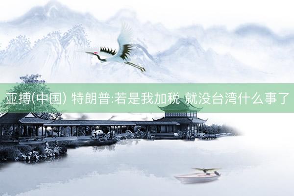 亚搏(中国) 特朗普:若是我加税 就没台湾什么事了