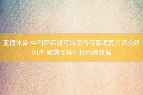 亚搏体育 中科环保就可转债刊行事项复兴深交所问询 败露多项中枢绸缪数据