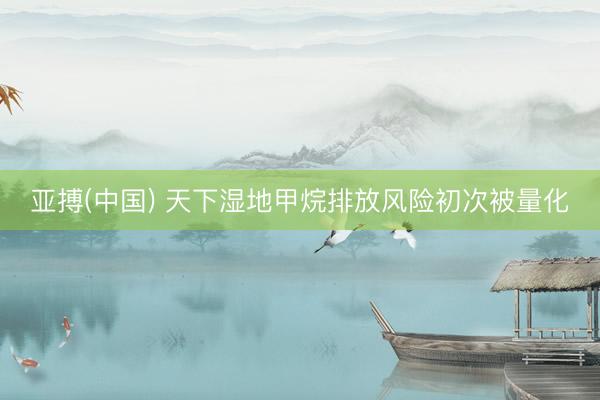 亚搏(中国) 天下湿地甲烷排放风险初次被量化