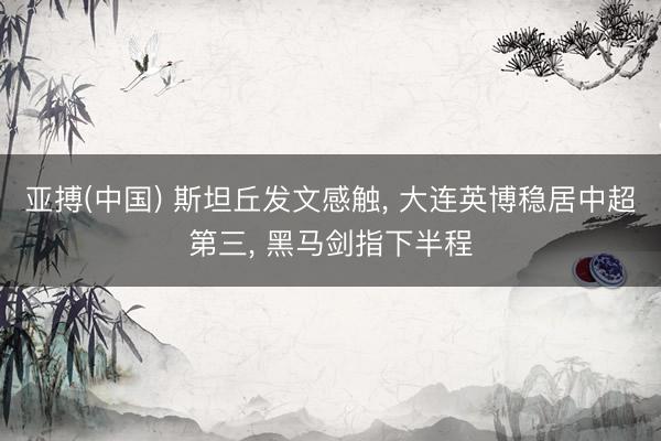 亚搏(中国) 斯坦丘发文感触， 大连英博稳居中超第三， 黑马剑指下半程