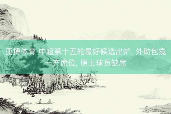 亚搏体育 中超第十五轮最好候选出炉， 外助包揽一齐席位， 原土球员缺席
