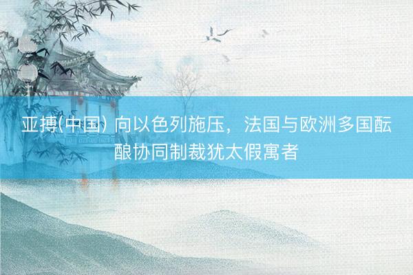 亚搏(中国) 向以色列施压,法国与欧洲多国酝酿协同制裁犹太假寓者