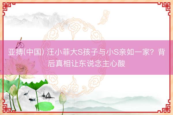 亚搏(中国) 汪小菲大S孩子与小S亲如一家？背后真相让东说念主心酸
