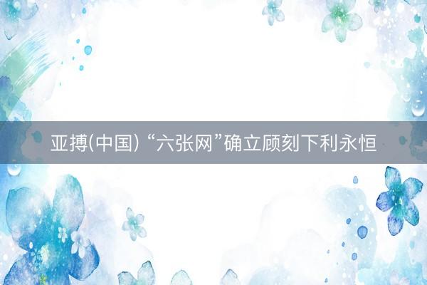 亚搏(中国) “六张网”确立顾刻下利永恒