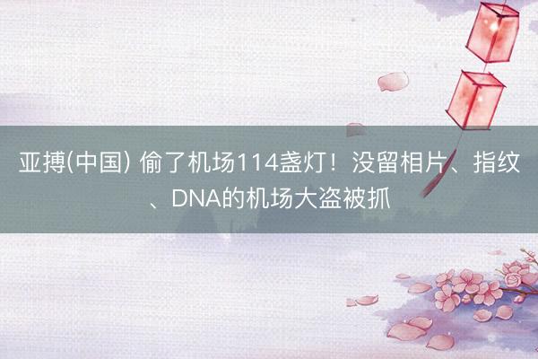 亚搏(中国) 偷了机场114盏灯！没留相片、指纹、DNA的机场大盗被抓