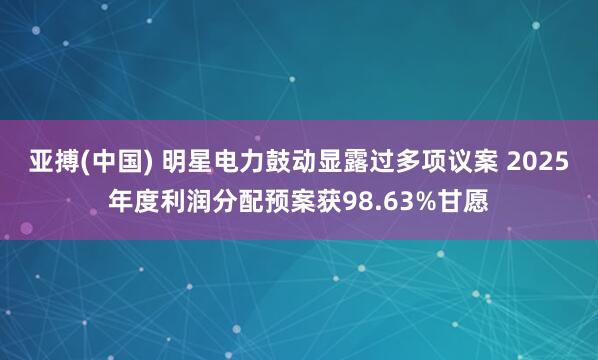 亚搏(中国) 明星电力鼓动显露过多项议案 2025年度利润分配预案获98.63%甘愿