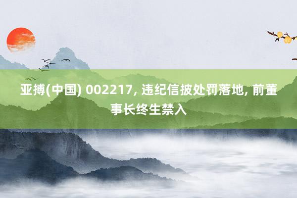 亚搏(中国) 002217， 违纪信披处罚落地， 前董事长终生禁入