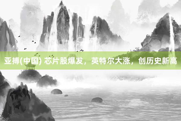 亚搏(中国) 芯片股爆发，英特尔大涨，创历史新高